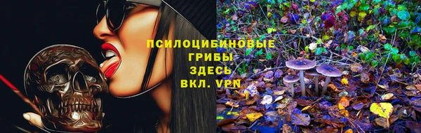 соль курить ск Надым