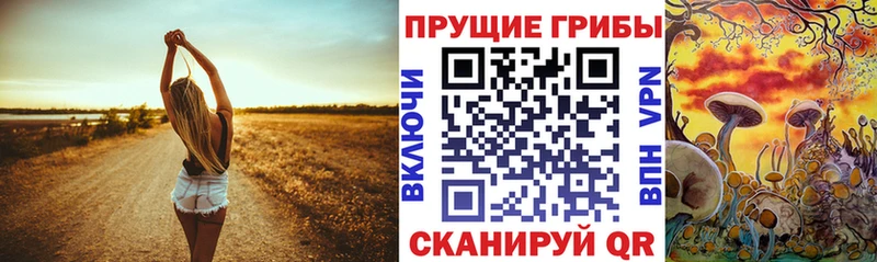 Галлюциногенные грибы GOLDEN TEACHER  продажа наркотиков  ссылка на мегу зеркало  Ковров 
